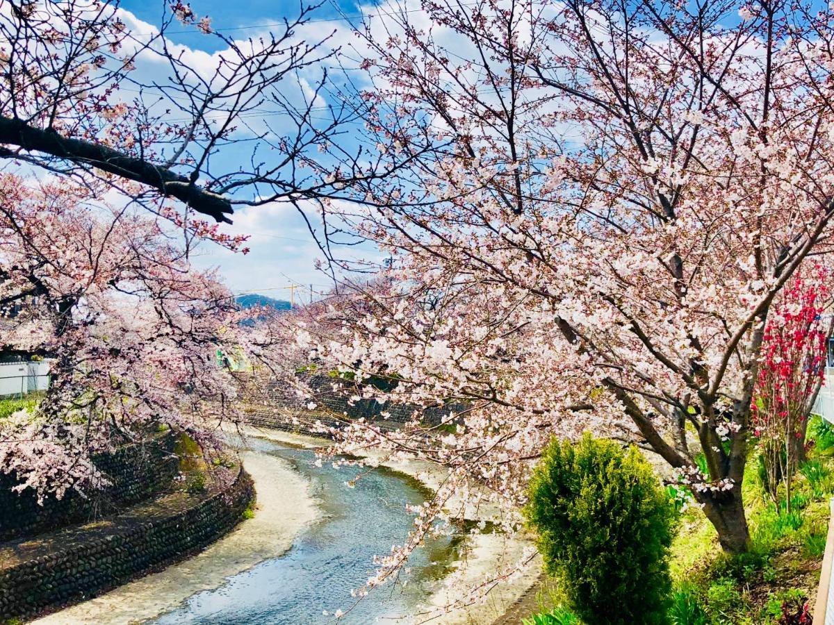 犬山市犬山モダンルーム公寓 外观 照片